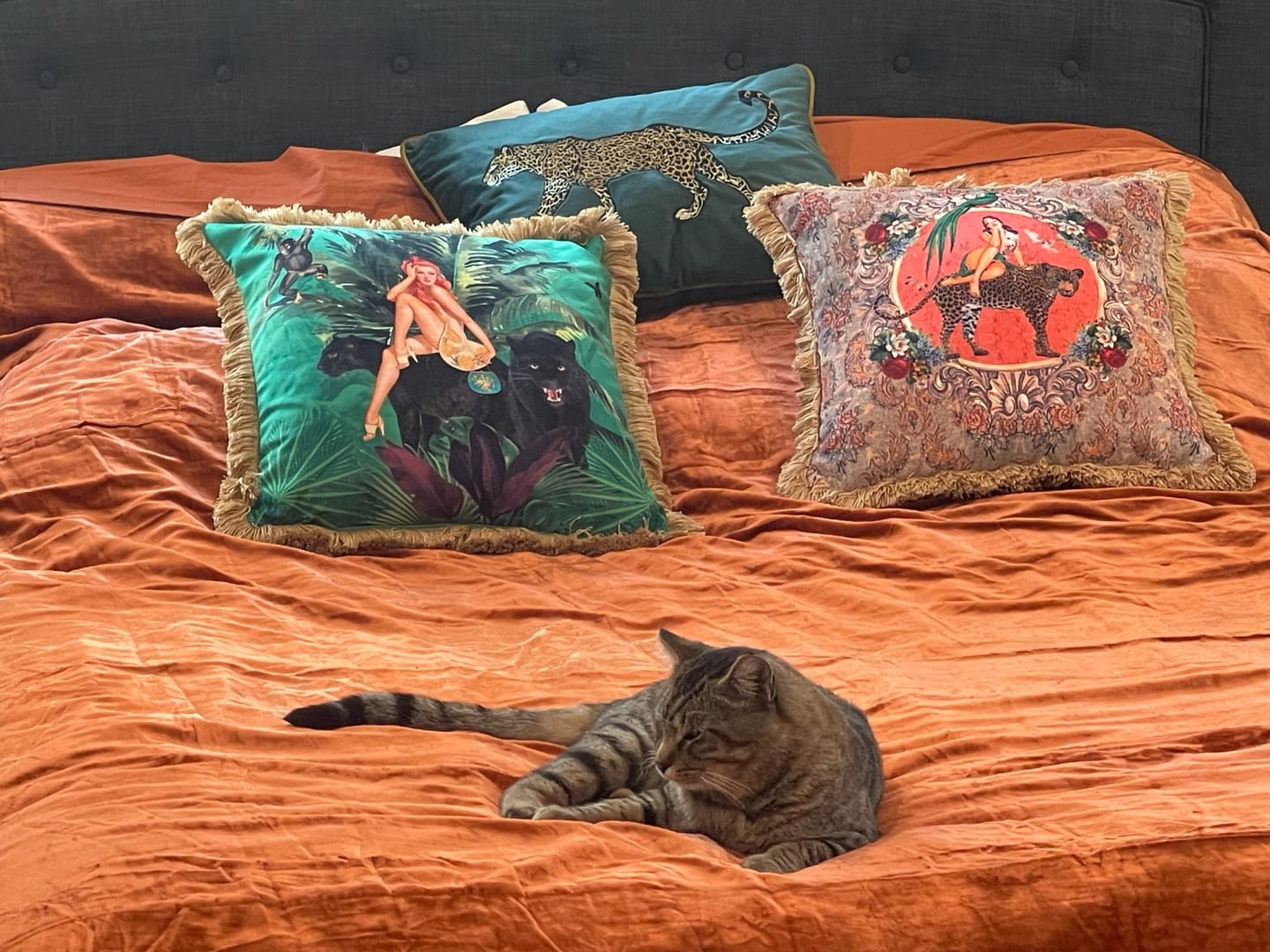 Customer photo review of Alice Cushion