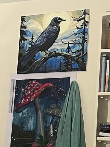 Customer photo review of Raven's Lookout