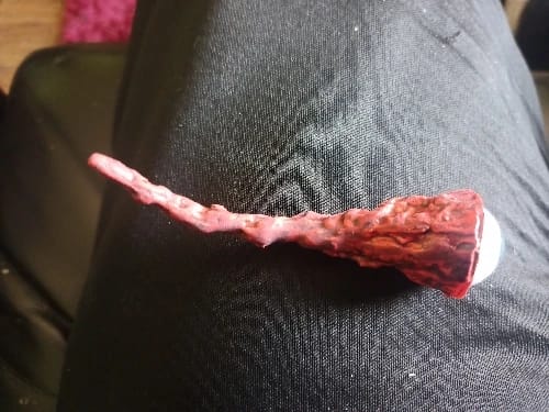 Customer photo review of Realistic Human Ripped Out Eyeball on a Hook Ornament Halloween