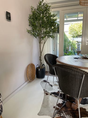 Customer photo review of Kunst Olijfboom 210cm