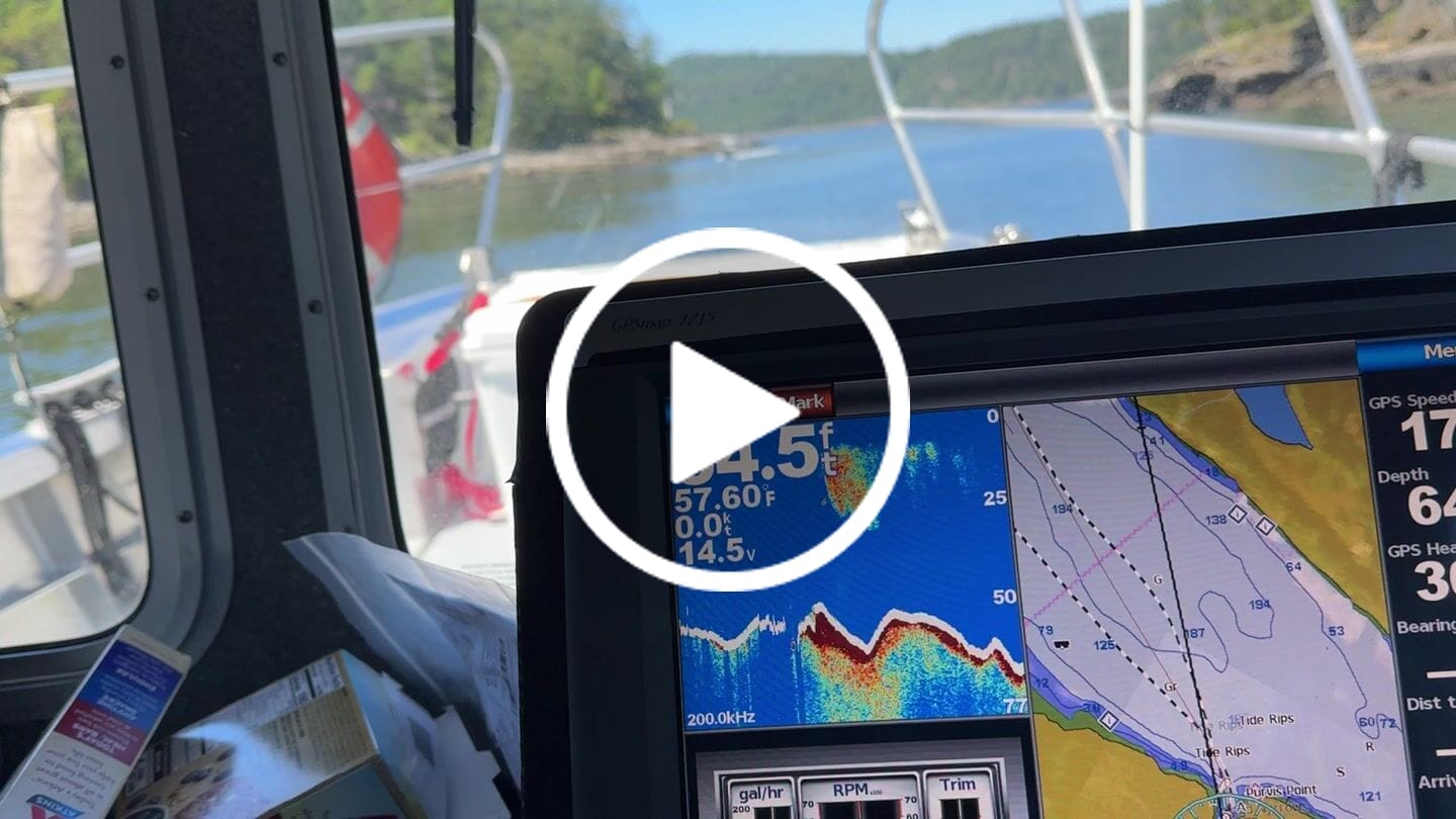 Customer video review of Suzuki ECSTAR Marine Oil 10W-40 V7000 (Gallon)