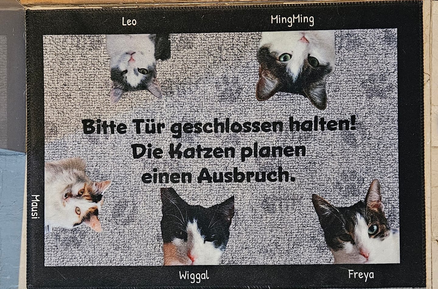 Customer photo review of Katzen planen einen Ausbruch - Individuelle Fußmatte