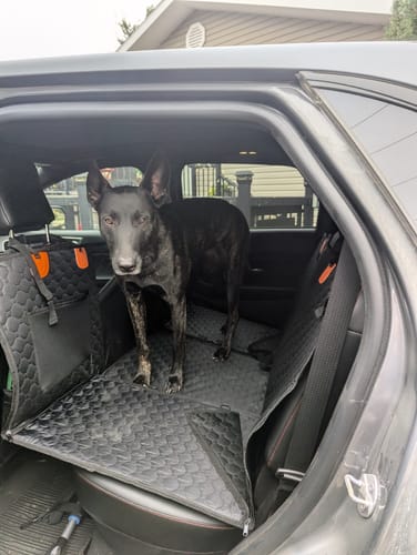 Customer photo review of Hard Bottom Seat Cover