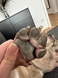 Customer photo review of Pfoten Wiese - Pfoten Balm für Hunde