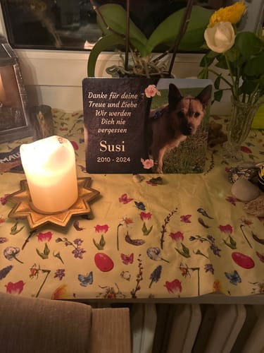 Customer photo review of Hunde Gedenktafel mit Foto & Spruch (UV- & Wetterfest)