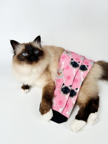 Customer photo review of Personalisierte Katzensocken