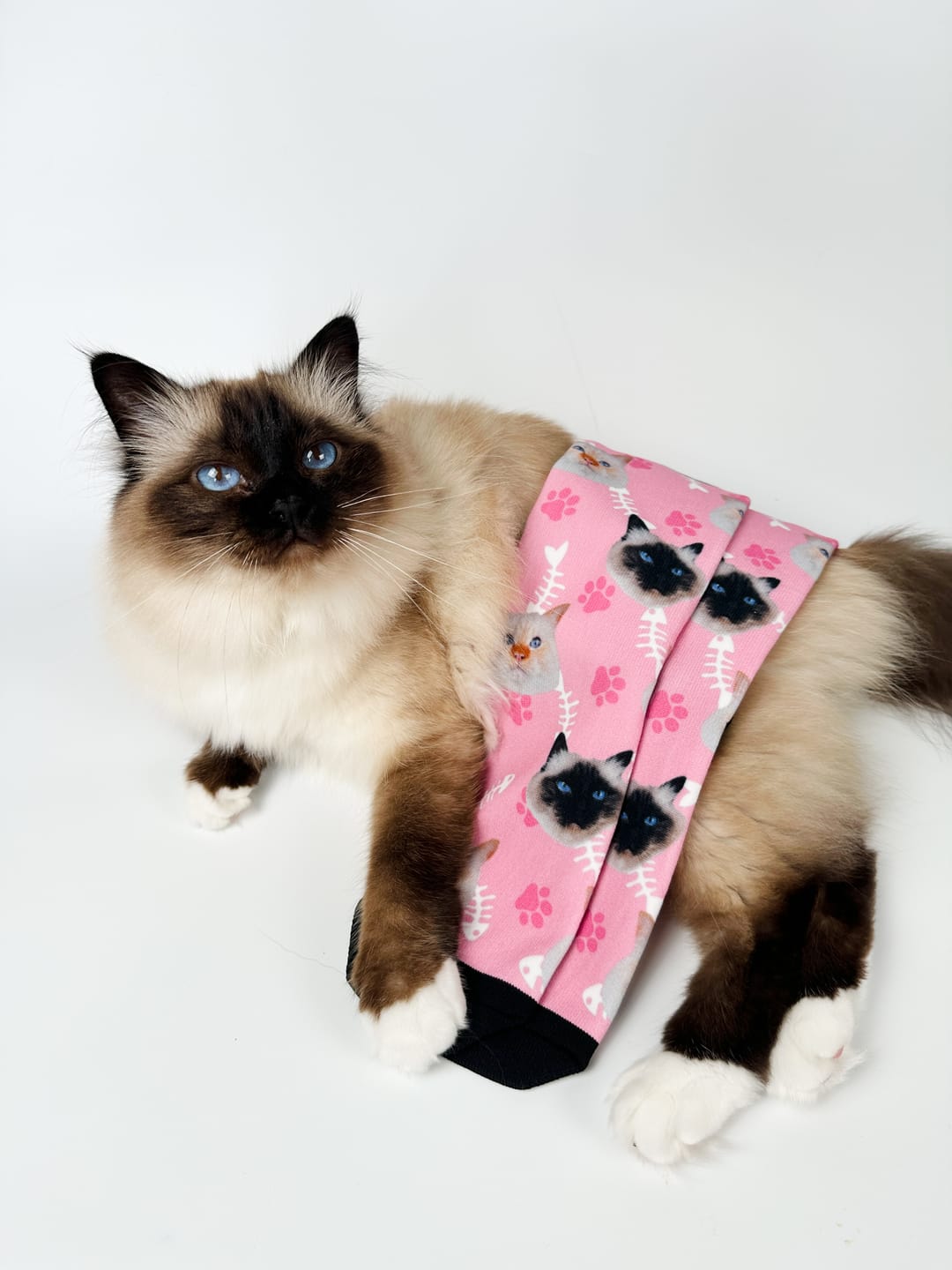 Customer photo review of Personalisierte Katzensocken