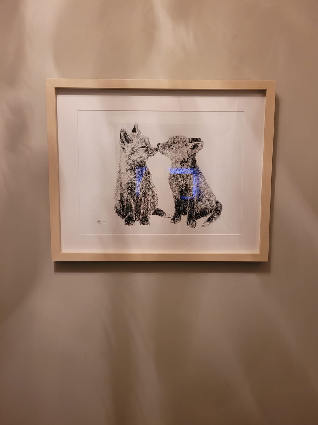 Customer photo review of Adorable Baby Foxes