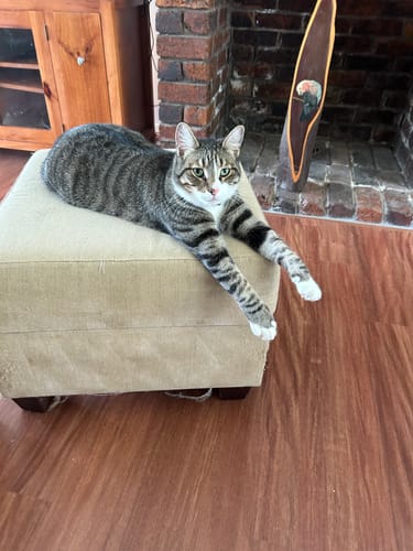 Customer photo review of EXTRABAG