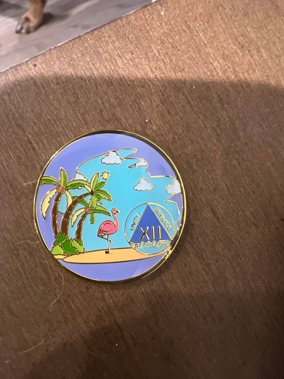 Customer photo review of 1 to 60 Year Beach Themed Specialty AA Recovery Medallion - Tri-Plated Chip/Coin