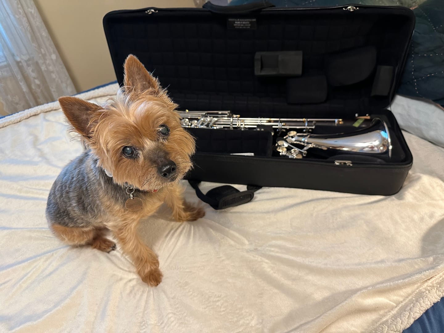 Customer photo review of Q Series Bass Clarinet