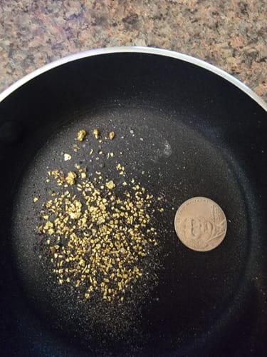 Customer photo review of Nugget Reserve '10 OUNCE MOTHERLODE BONANZA' - Gold Panning Paydirt