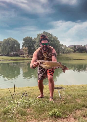 Customer photo review of Moby Dick