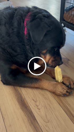 Customer video review of BANANA YAK CHEWS