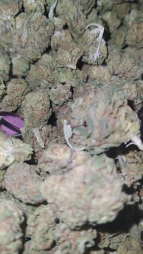 Customer photo review of THCa Greenhouse Smalls