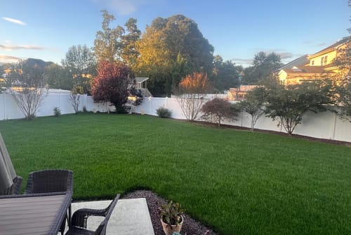 Customer photo review of GCI Turf Type Tall fescue Grass Seed