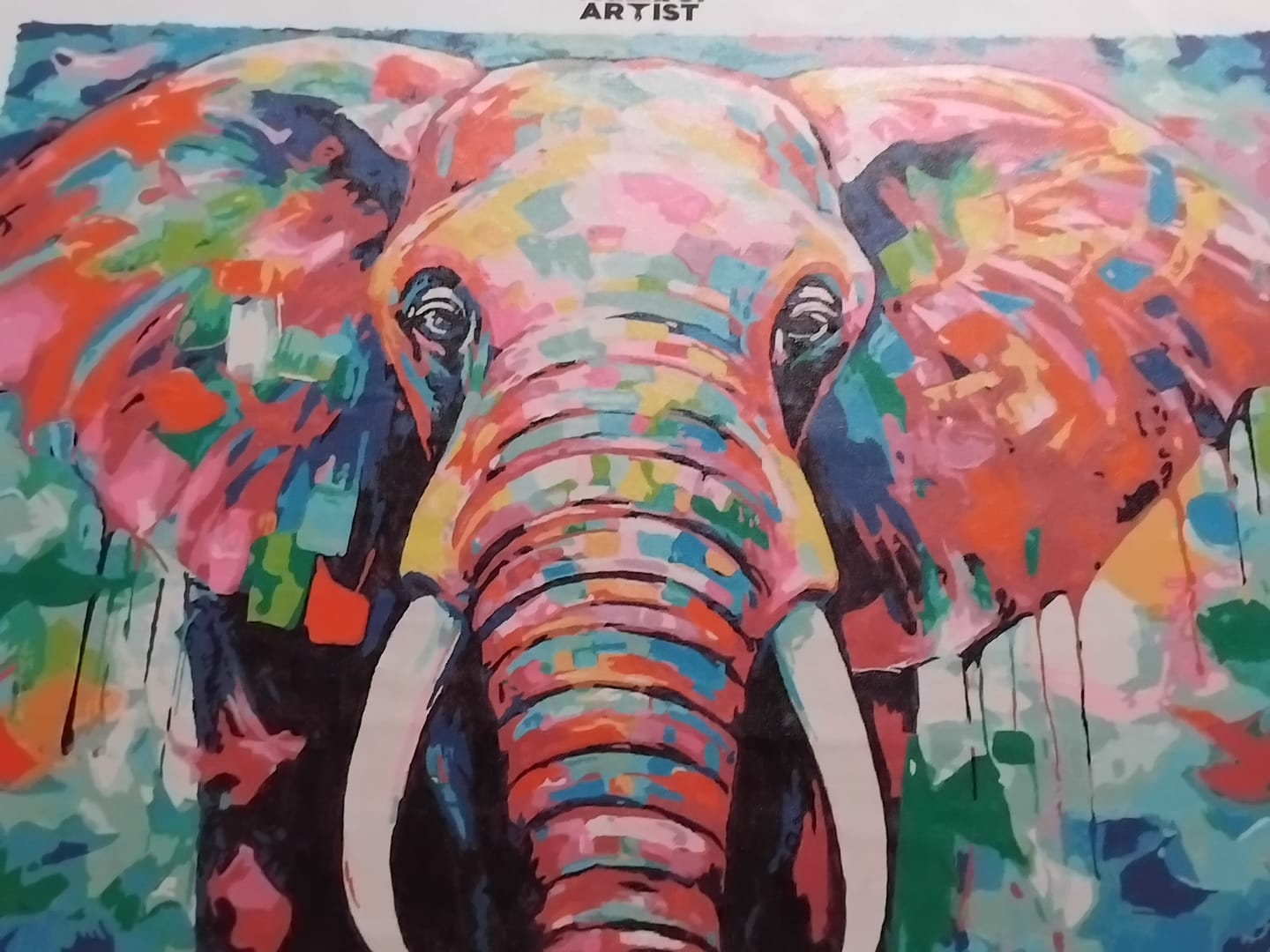 Customer photo review of Elephant Tales