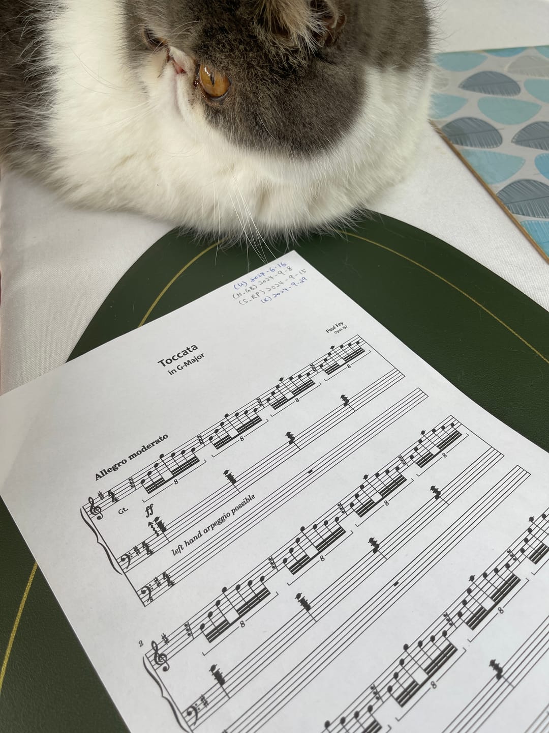 Customer photo review of Toccata for Pipe Organ (Sheet Music) - Music for Organ