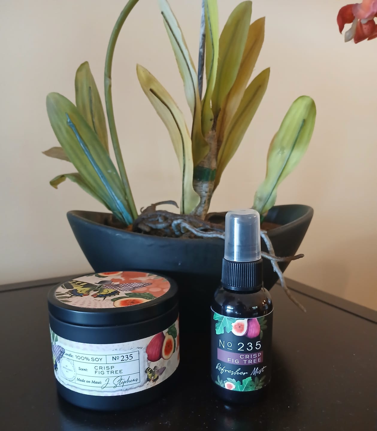 Customer photo review of No. 235 CRISP FIG TREE Candle