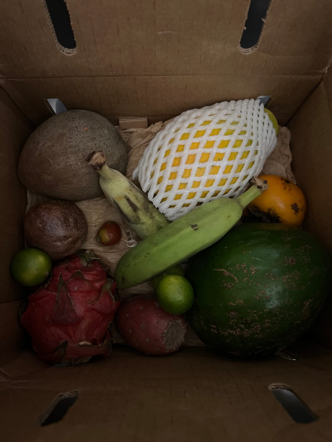 Customer photo review of Leftovers Box