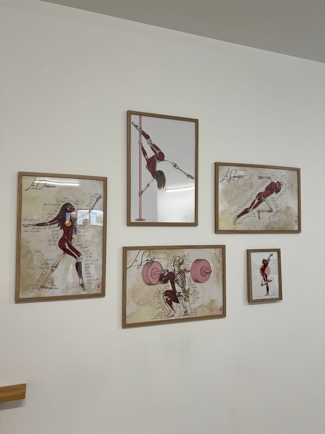 Customer photo review of Poster anatomique de l'haltérophilie - Le squat
