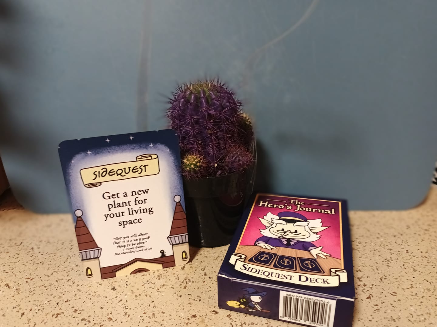 Customer photo review of Self Care SideQuest Deck