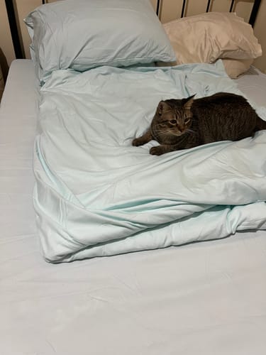 Customer photo review of Plain Dream