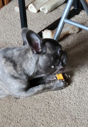 Customer photo review of MIX FLAVORED (Strawberry, Banana, Pumpkin, & Blueberry): A PACK OF 4 STICKS