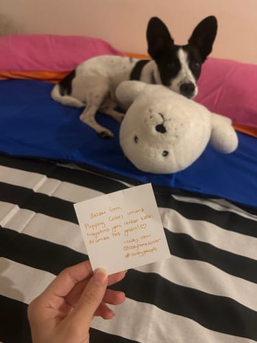 Customer photo review of Cozy Home Popping Colors Çift Kişilik Lastikli Çarşaflı Nevresim Takımı Dusk Mavi