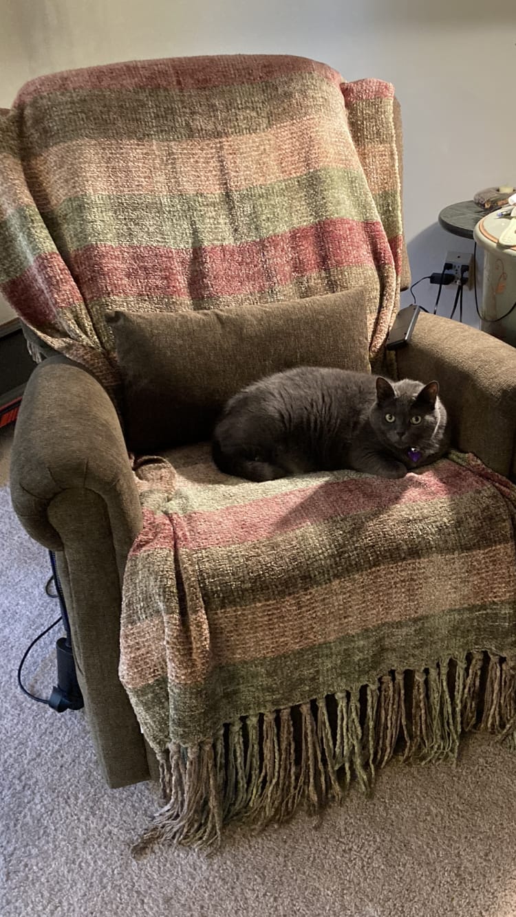 Customer photo review of 9199 Power Lift Recliner With Heat&Massage(Medium, Chenille Green)