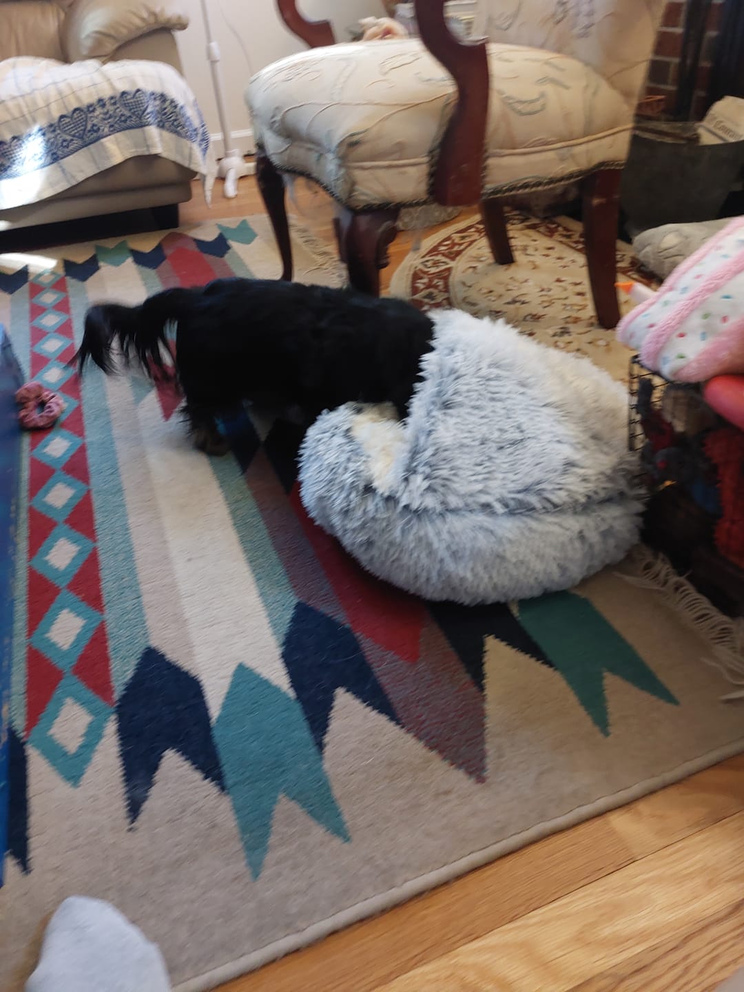 Customer photo review of Snuggle Haven Deluxe Pet Bed