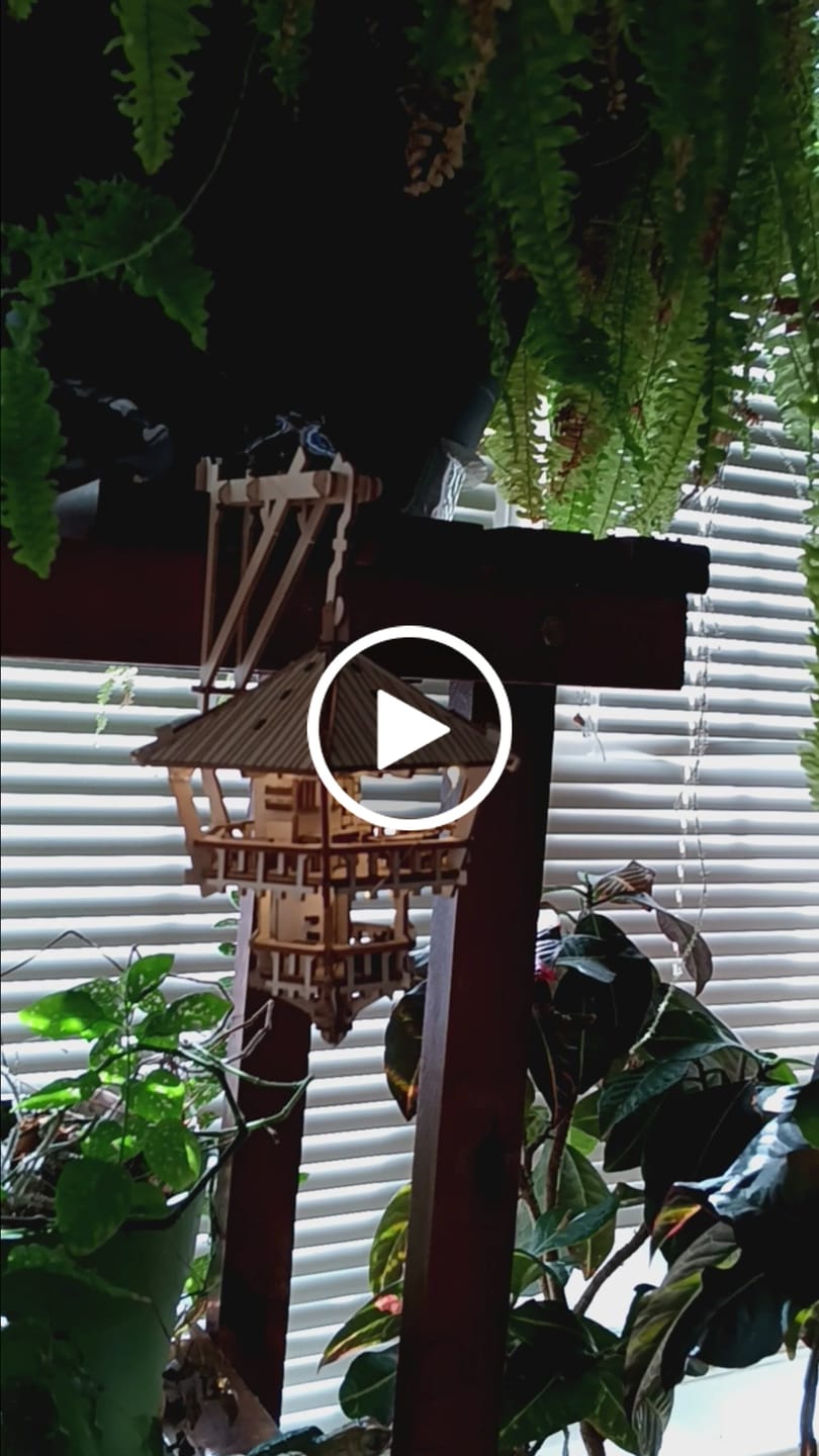 Customer video review of Treetop Hideaway