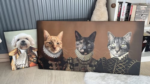 Fotorecensie van een klant over Napoleon