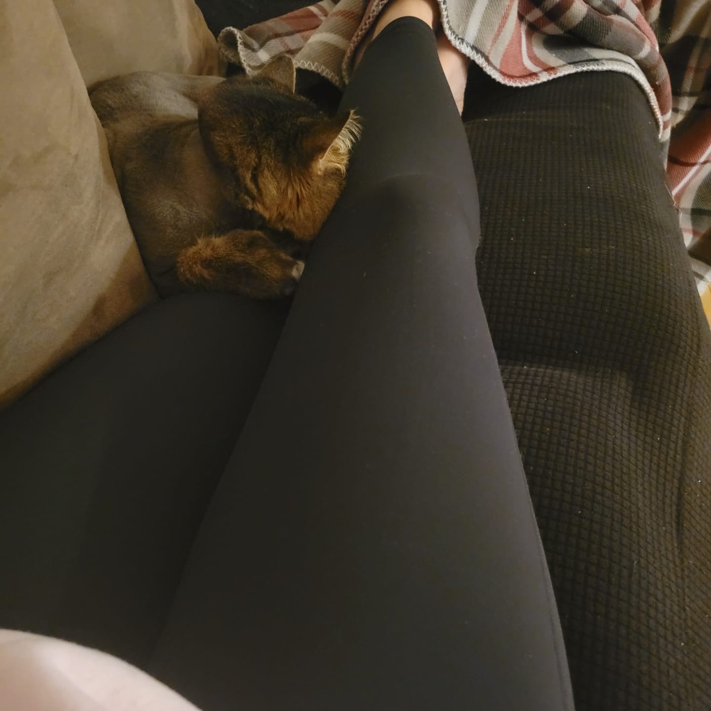 Customer photo review of Up-Tight Leggings