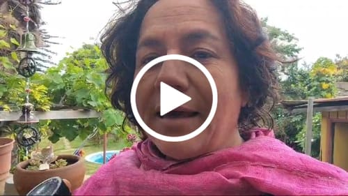 Customer video review of Pack Team Eje Cerebro + Intestino