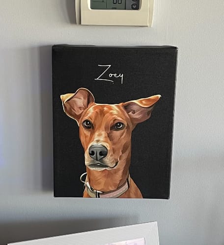 Customer photo review of Pet Art Canvas Wrap