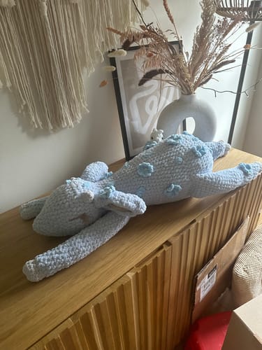 Customer photo review of Alize Softy Mega