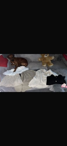 Customer photo review of Oversized Cardigan Short "CozyGlam"