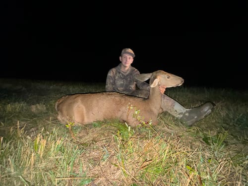 Customer photo review of Beast Broadheads (2-Pack + Practice Tip)