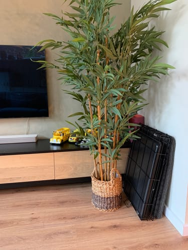 Customer photo review of Bamboe Kunstplant 180 cm