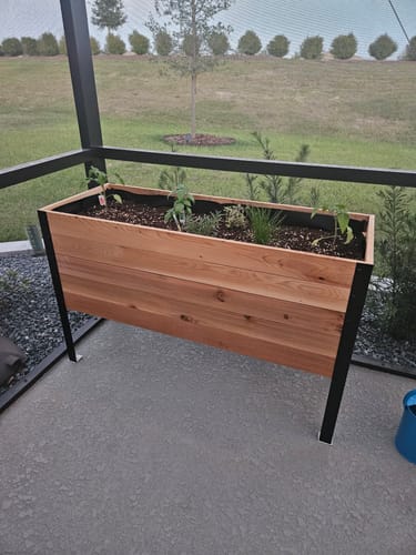 Customer photo review of 18" x 48" Raised Garden Bed