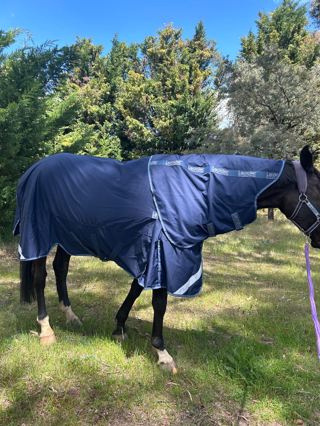 Customer photo review of LE Fieldsafe Universal Cotton Sheet