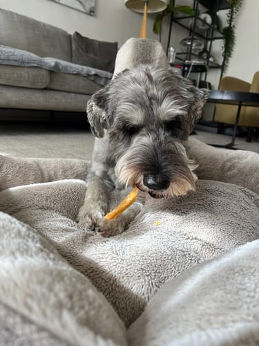 Customer photo review of Aussie Beef Tendons (Large Dogs)