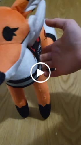 Customer video review of Turn Kid's Drawings into Plushies