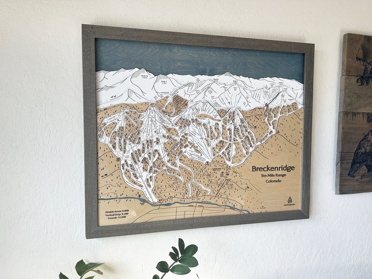 Customer photo review of Breckenridge, Colorado