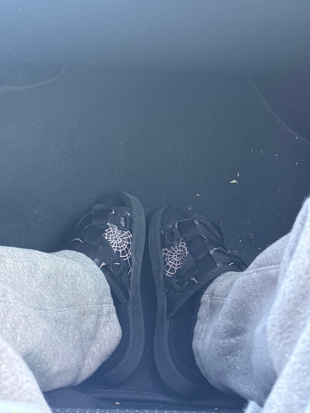 Customer photo review of Webbed Dr4coSlides