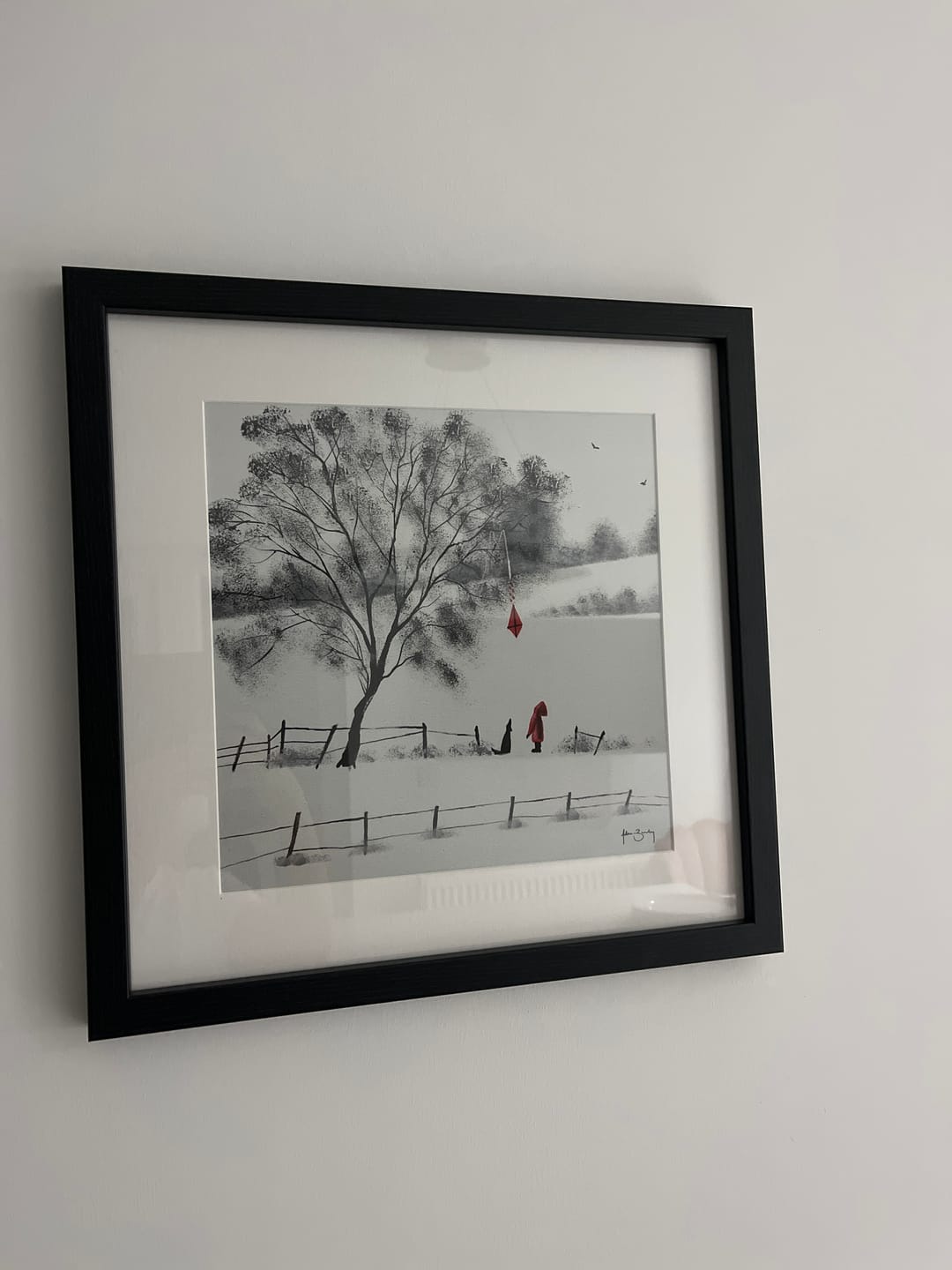 Customer photo review of Red Kite By Adam Barsby