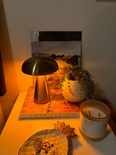 Customer photo review of Portable Metal Touch Lamp | Brassy Gold