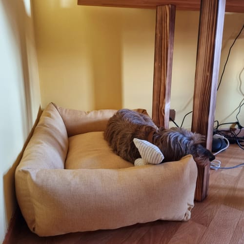 Customer photo review of Divanetto Mattias Senape (Soft Touch)