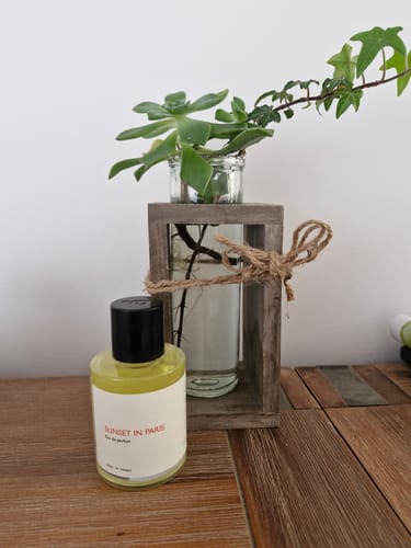 Customer photo review of Sunset in Paris